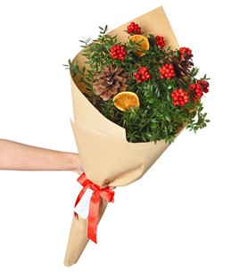 Kutuda yılbaşı çiçeği kokina çiçekleri 